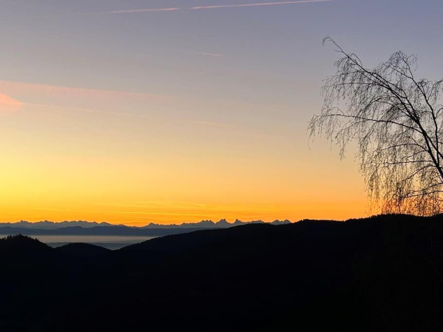 Un Coin De Montagne Apartment Linthal ภายนอก รูปภาพ