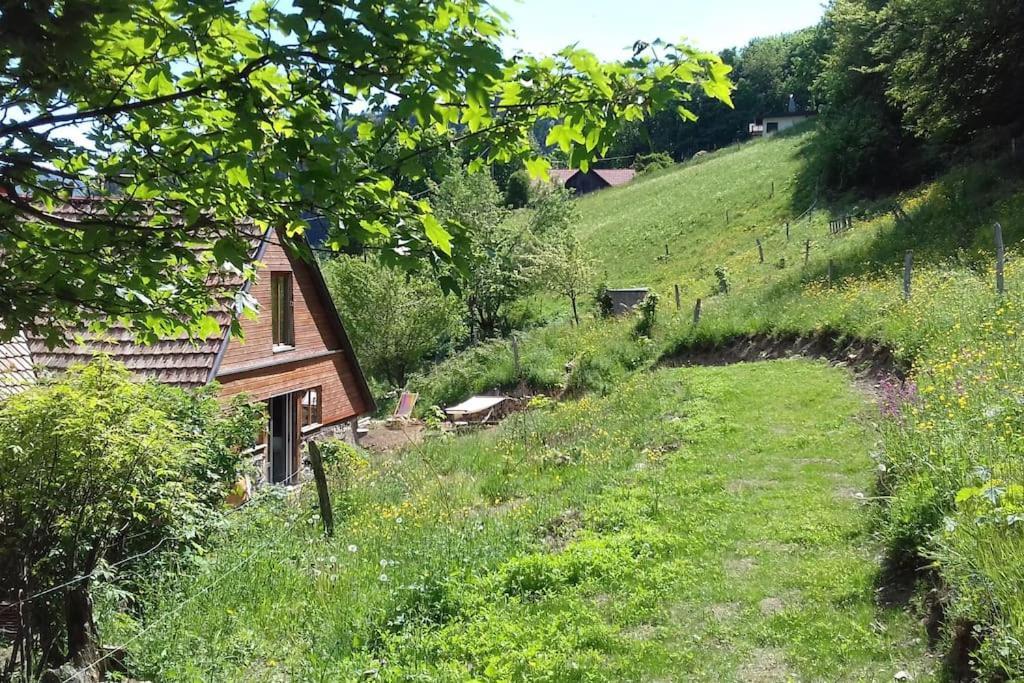 Un Coin De Montagne Apartment Linthal ภายนอก รูปภาพ