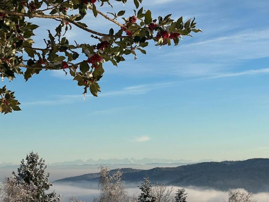 Un Coin De Montagne Apartment Linthal ภายนอก รูปภาพ