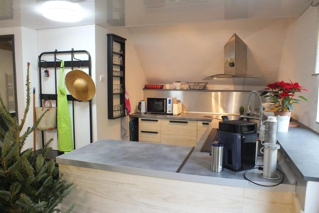 Un Coin De Montagne Apartment Linthal ภายนอก รูปภาพ